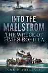 Into the Maelstrom cover