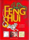 Feng Shui cover