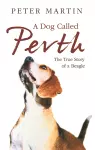 A Dog called Perth cover