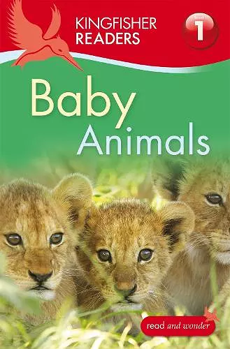 Kingfisher Readers: Baby Animals (Level 1: Beginning to Read) cover