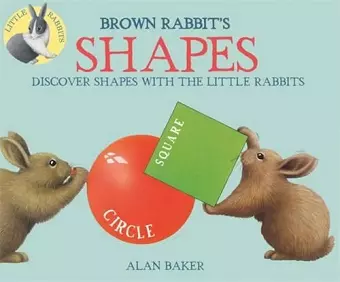 Little Rabbits: Brown Rabbit's Shapes cover