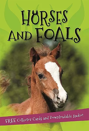 It's all about... Horses and Foals cover