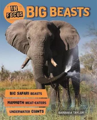 In Focus: Big Beasts cover