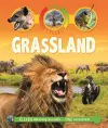 Life Cycles: Grassland cover