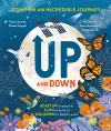 Up and Down cover