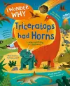 I Wonder Why Triceratops Had Horns cover