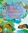 What Do Bees Do In Winter? cover