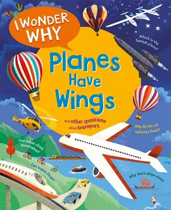 I Wonder Why Planes Have Wings cover