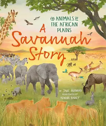 A Savannah Story cover