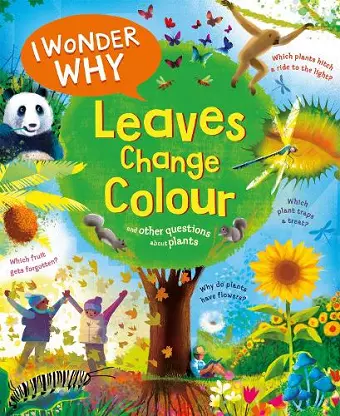 I Wonder Why Leaves Change Colour cover