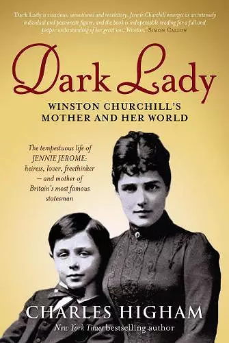 Dark Lady cover