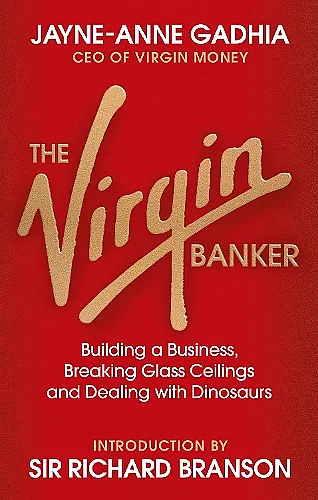The Virgin Banker cover