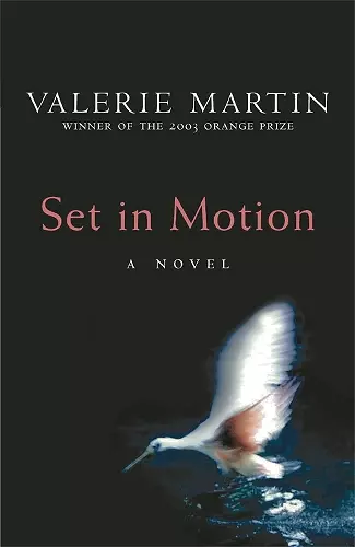 Set In Motion cover