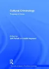 Cultural Criminology cover