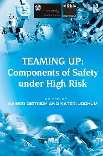 Teaming Up: Components of Safety Under High Risk cover