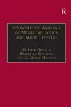 Econometric Analysis of Model Selection and Model Testing cover