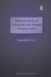 Migration, Work and Citizenship in the Enlarged European Union cover