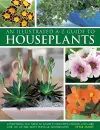 An Illustrated A-Z Guide to Houseplants cover