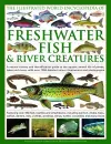 Illustrated World Encyclopedia of Freshwater Fish and River Creatures cover