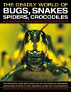The Deadly World of Bugs, Snakes, Spiders, Crocodiles and Hundreds of Other Amazing Reptiles and Insects cover