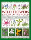 Illustrated Encyclopedia of Wild Flowers & Flora of the World cover
