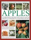 Illustrated World Encyclopedia of Apples cover