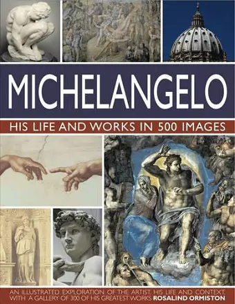 Michelangelo: His Life & Works In 500 Images cover