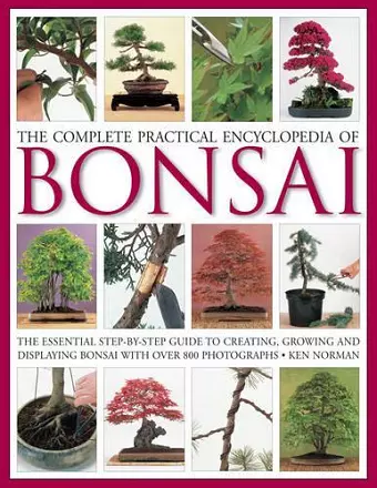 Complete Practical Encyclopedia of Bonsai cover