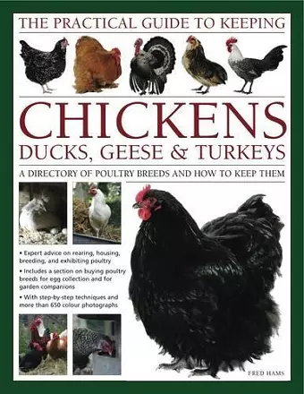Practical Guide to Keeping Chickens, Duck, Geese & Turkeys cover