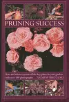 Pruning Success cover