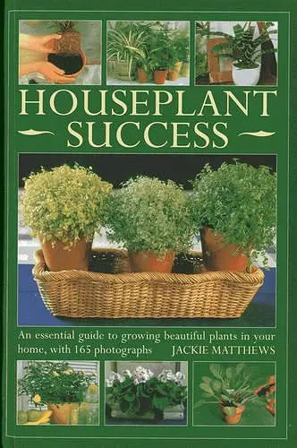 Houseplant Success cover