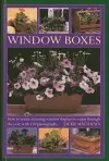 Window Boxes cover