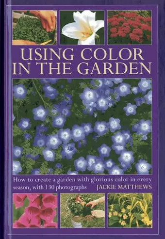 Using Colour in the Gardens cover