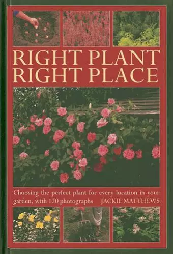 Right Plant Right Place cover