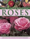 How to Grow Beautiful Roses cover