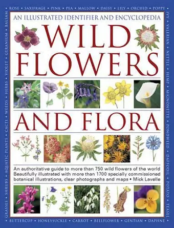 Illustrated Identifier and Encyclopedia: Wild Flowers and Flora cover