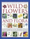 Illustrated Identifier and Encyclopedia: Wild Flowers and Flora cover