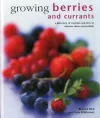 Growing Berries and Currants cover