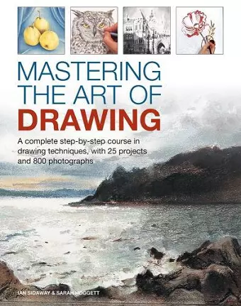 Mastering the Art of Drawing cover