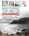 Mastering the Art of Drawing cover