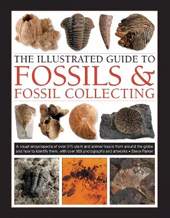 Fossils & Fossil Collecting, The Illustrated Guide to cover