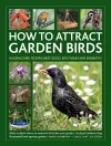 How to Attract Garden Birds cover