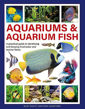 Aquariums & Aquarium Fish cover