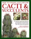 Cacti & Succulents, How to Choose and Care for cover