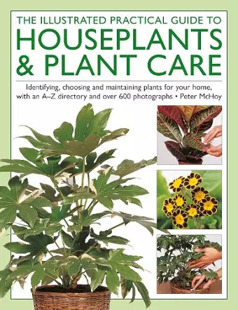 The Illustrated Practical Guide to Houseplants & Plant Care cover