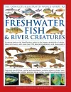 The Complete Illustrated World Guide to Freshwater Fish and River Creatures cover