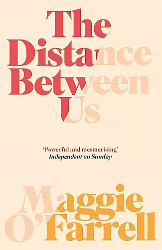 The Distance Between Us cover