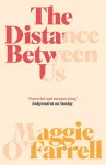 The Distance Between Us cover