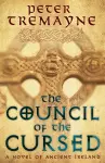 The Council of the Cursed (Sister Fidelma Mysteries Book 19) cover