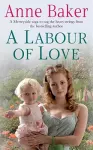 A Labour of Love cover